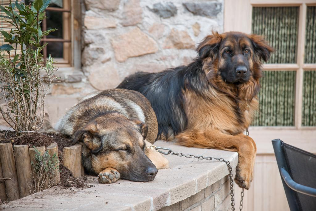 Maso Franceschella Bed & Breakfast Carano  Dış mekan fotoğraf