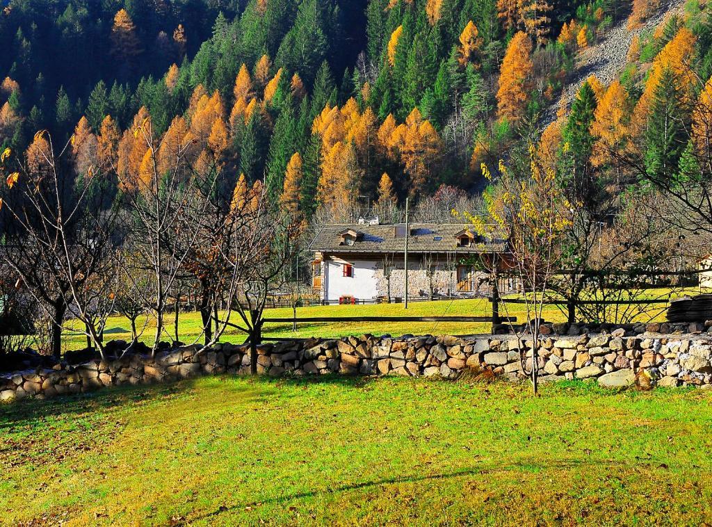 Maso Franceschella Bed & Breakfast Carano  Dış mekan fotoğraf